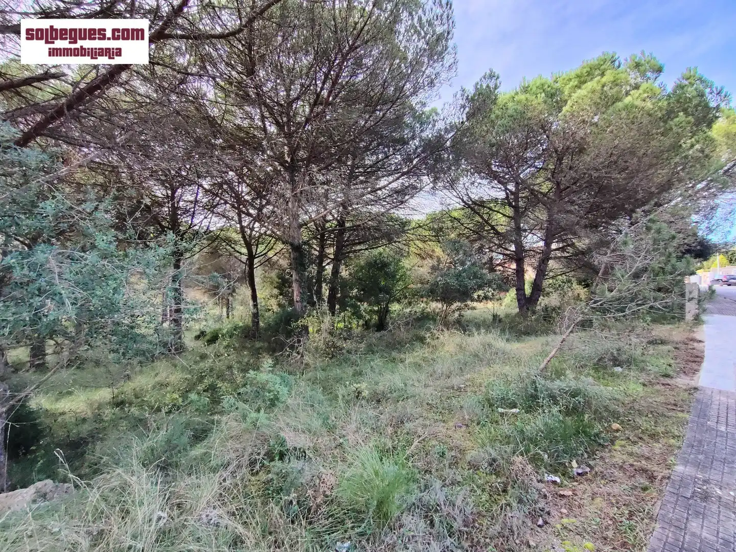 Terrenys i solars en venda a Gregal 32, imagen 10