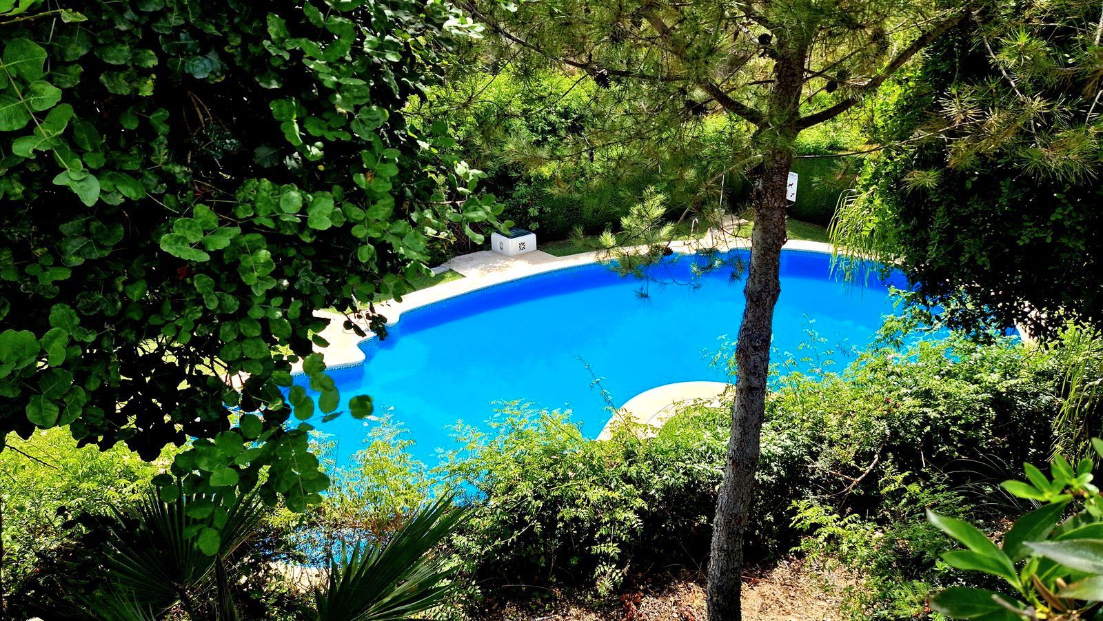 Swimming pool of Single-family semi-detached for sale in Mijas  with Air Conditioner, Terrace and Furnished