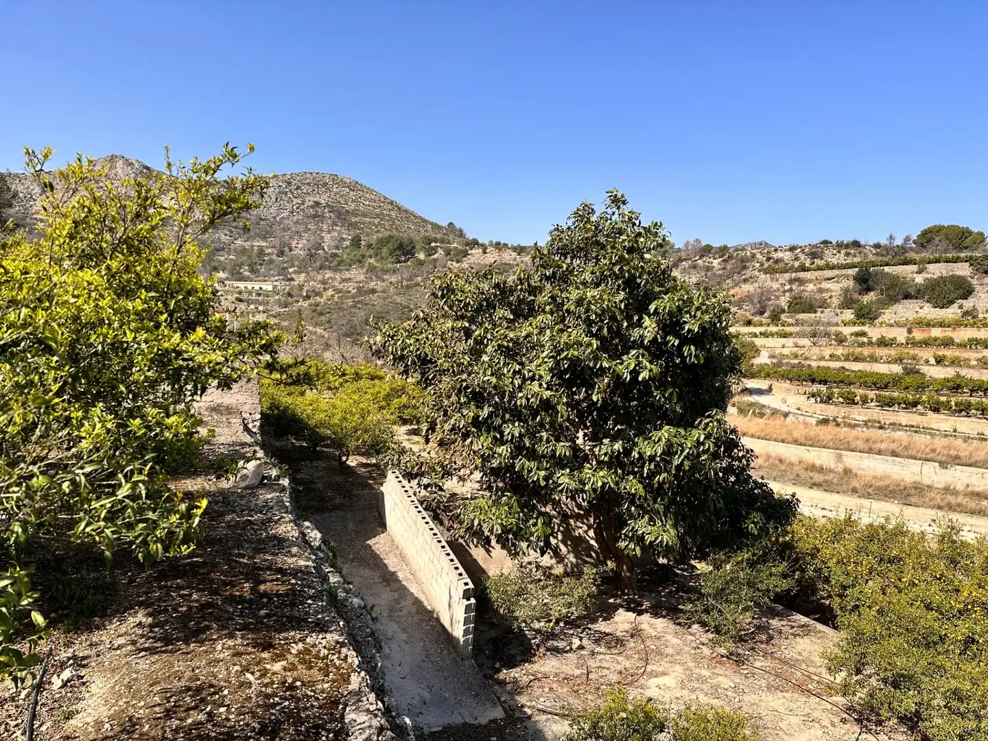 Residencial en venta en L'Atzúbia