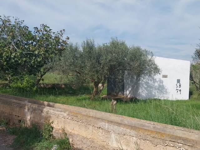 Terreno en Venta en Vía Pista, 70 en Torreblanca
