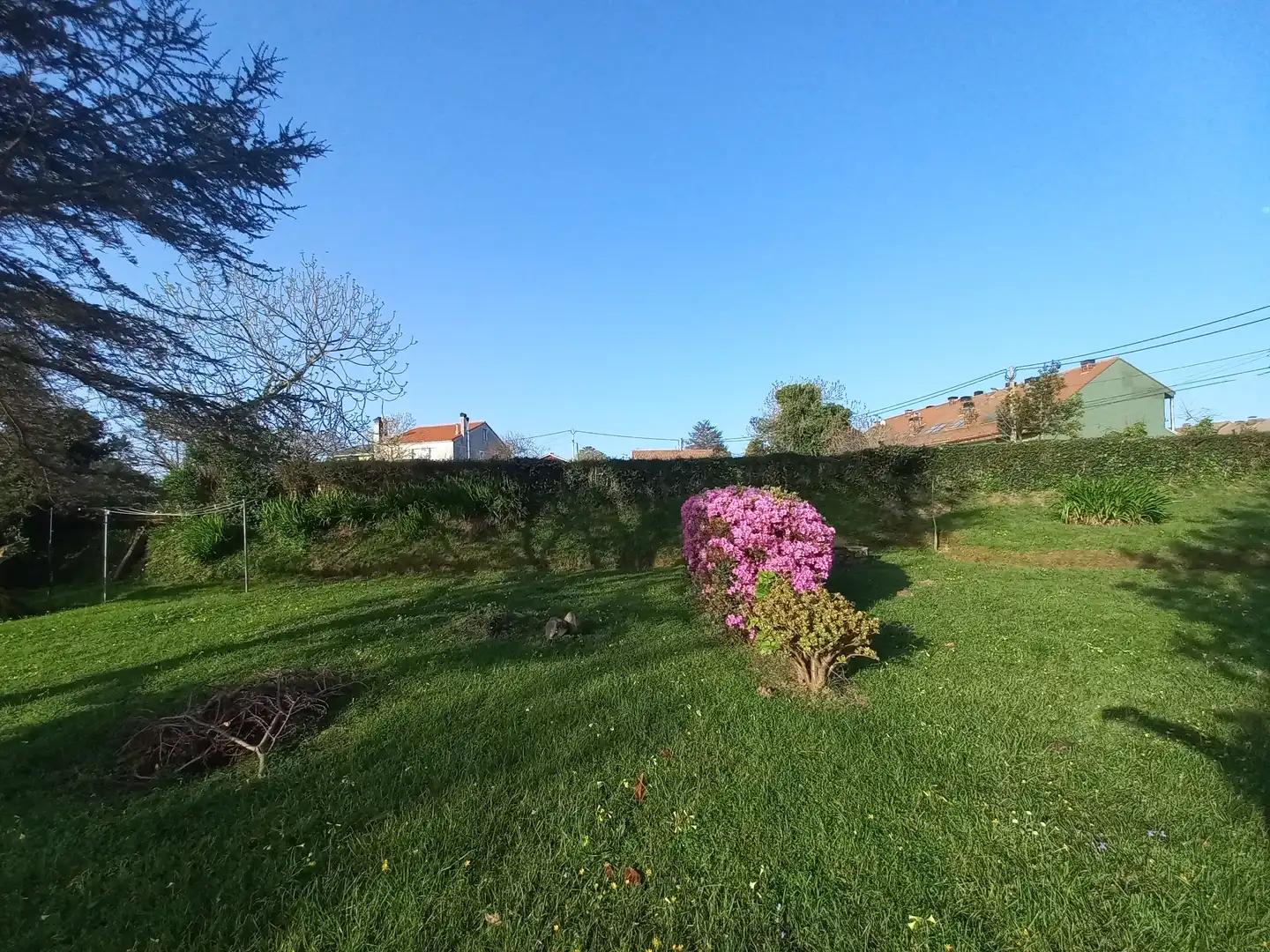 Jardí de Casa o xalet en venda en Oleiros amb Parquet, Terrassa i Traster