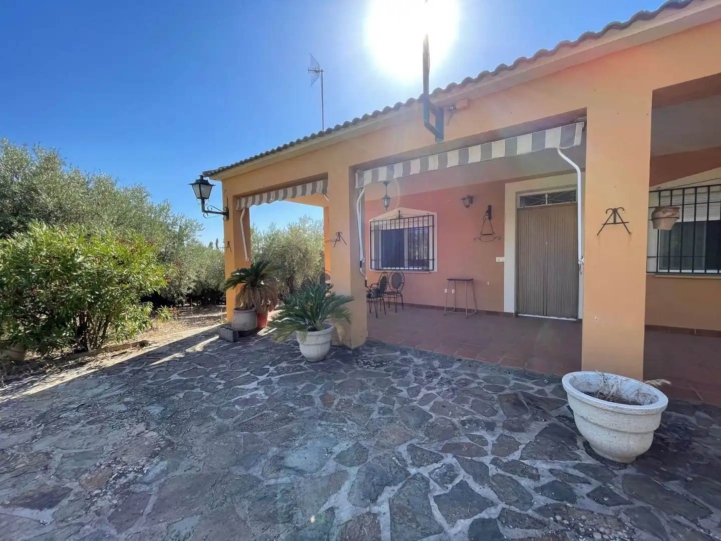 Country homes for sale in Valdepeñas