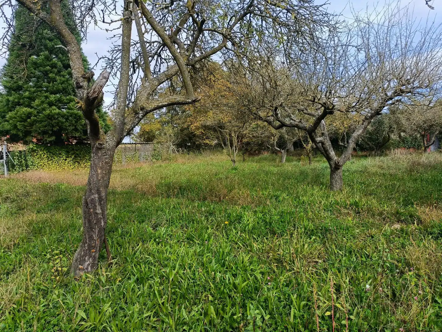 Wohnbaugrundstück zum Verkauf in Calle CACHAN-VR, imagen 27