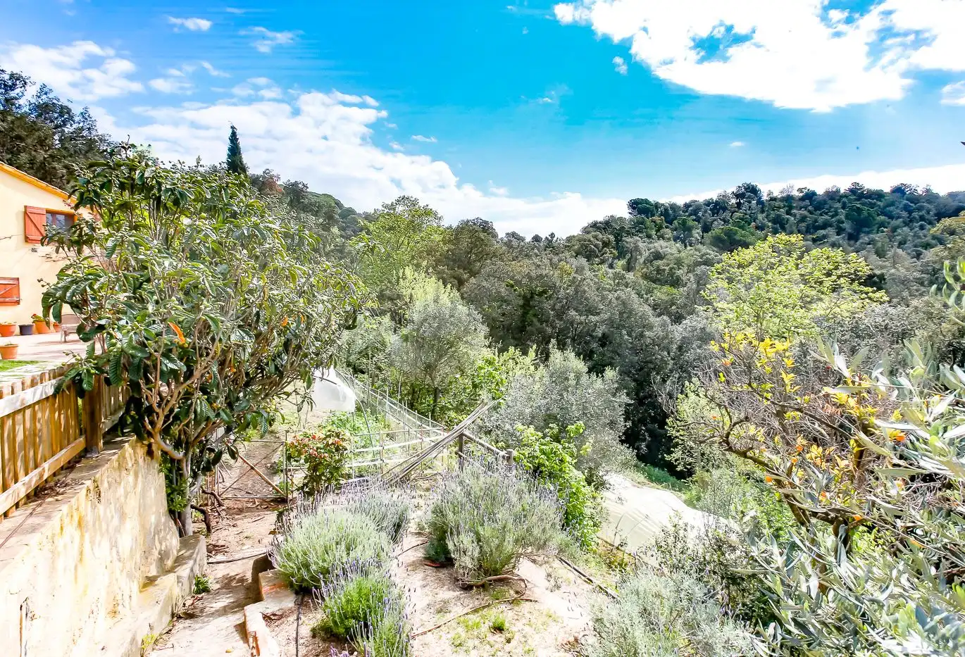 Jardín de Finca rústica en venta en Sant Iscle de Vallalta con Calefacción, Terraza y Trastero