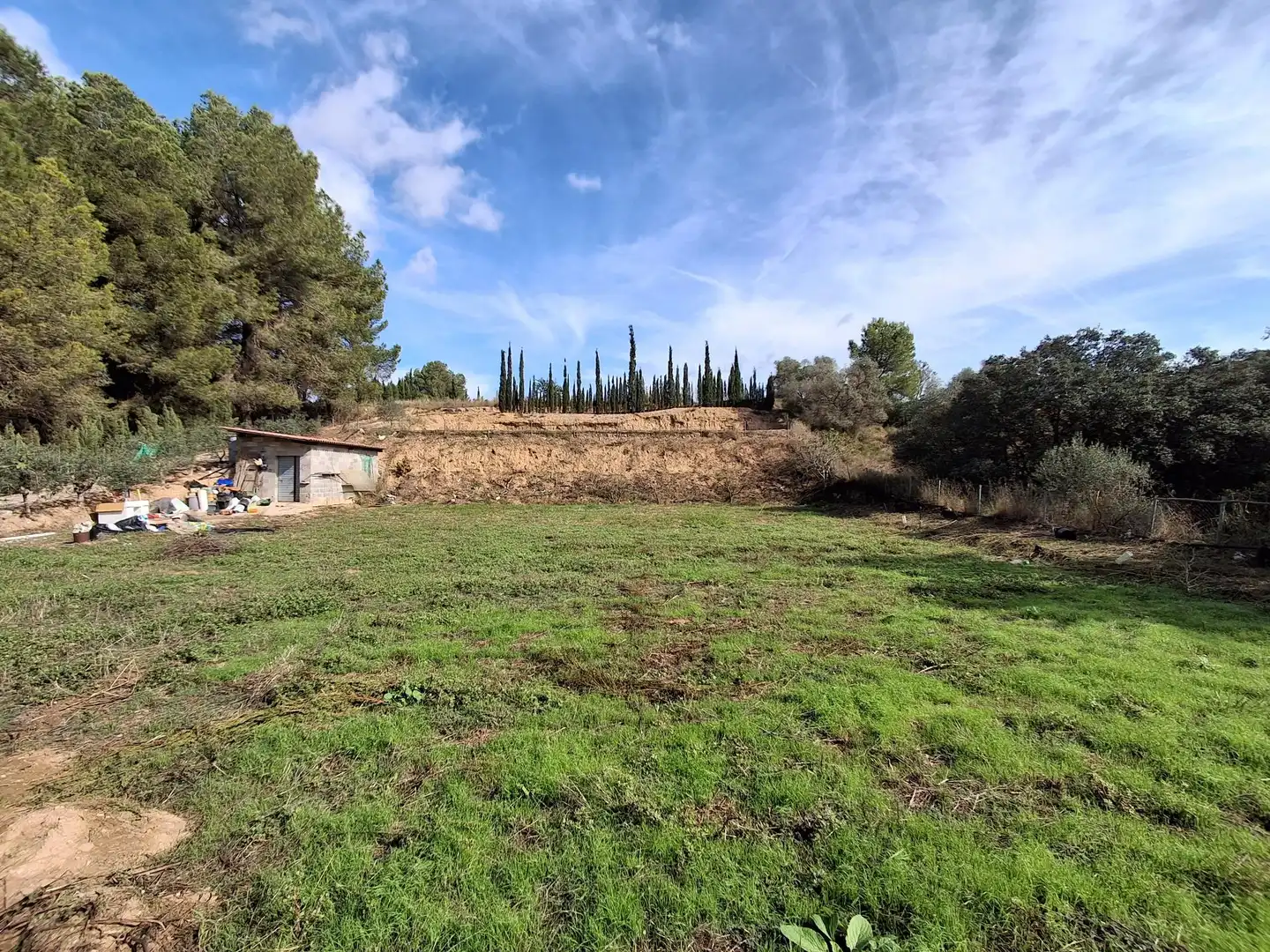 Rural land for sale in Ginestar, imagen 45