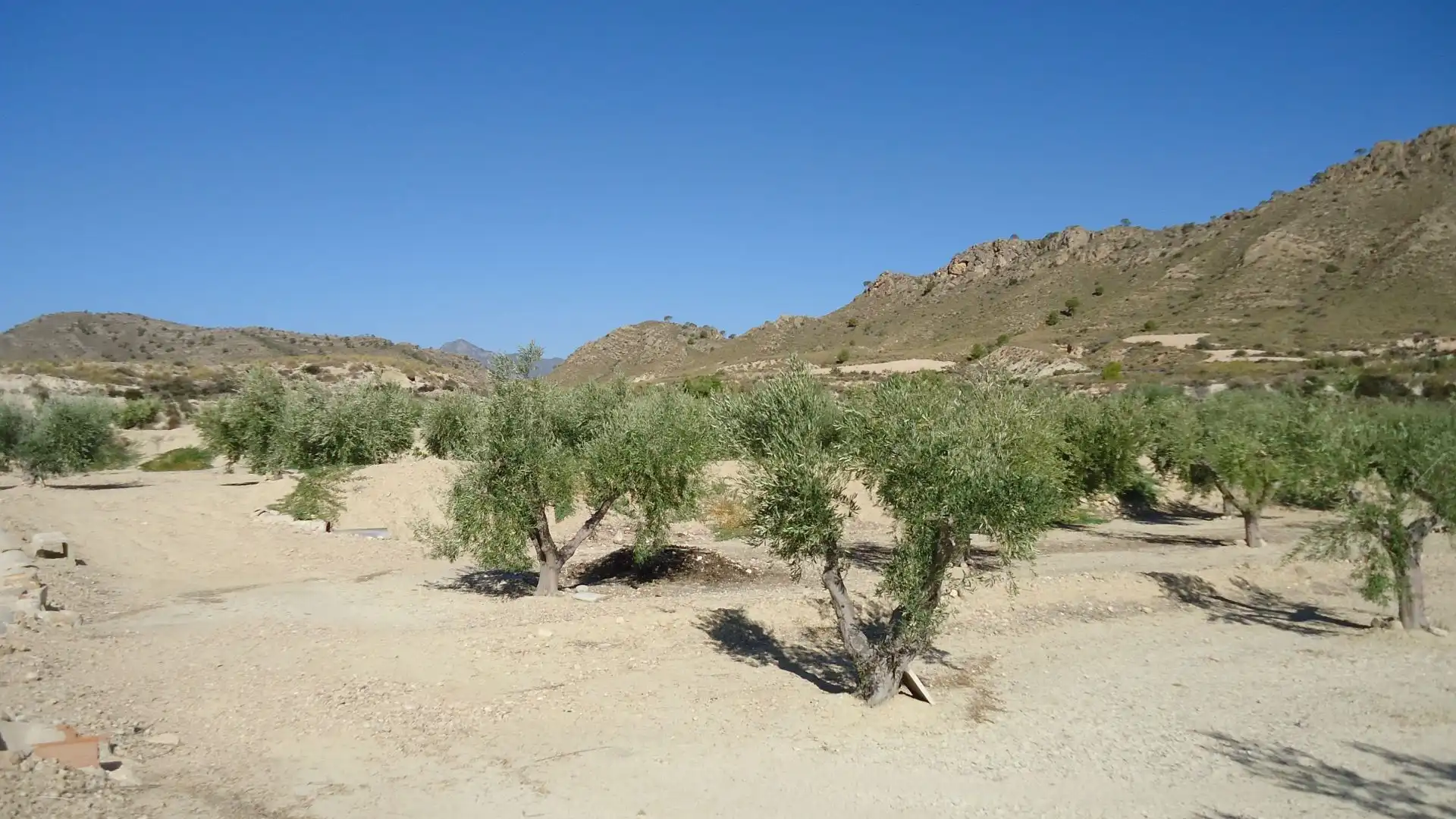 Lands and plots for sale in Abanilla, imagen 16