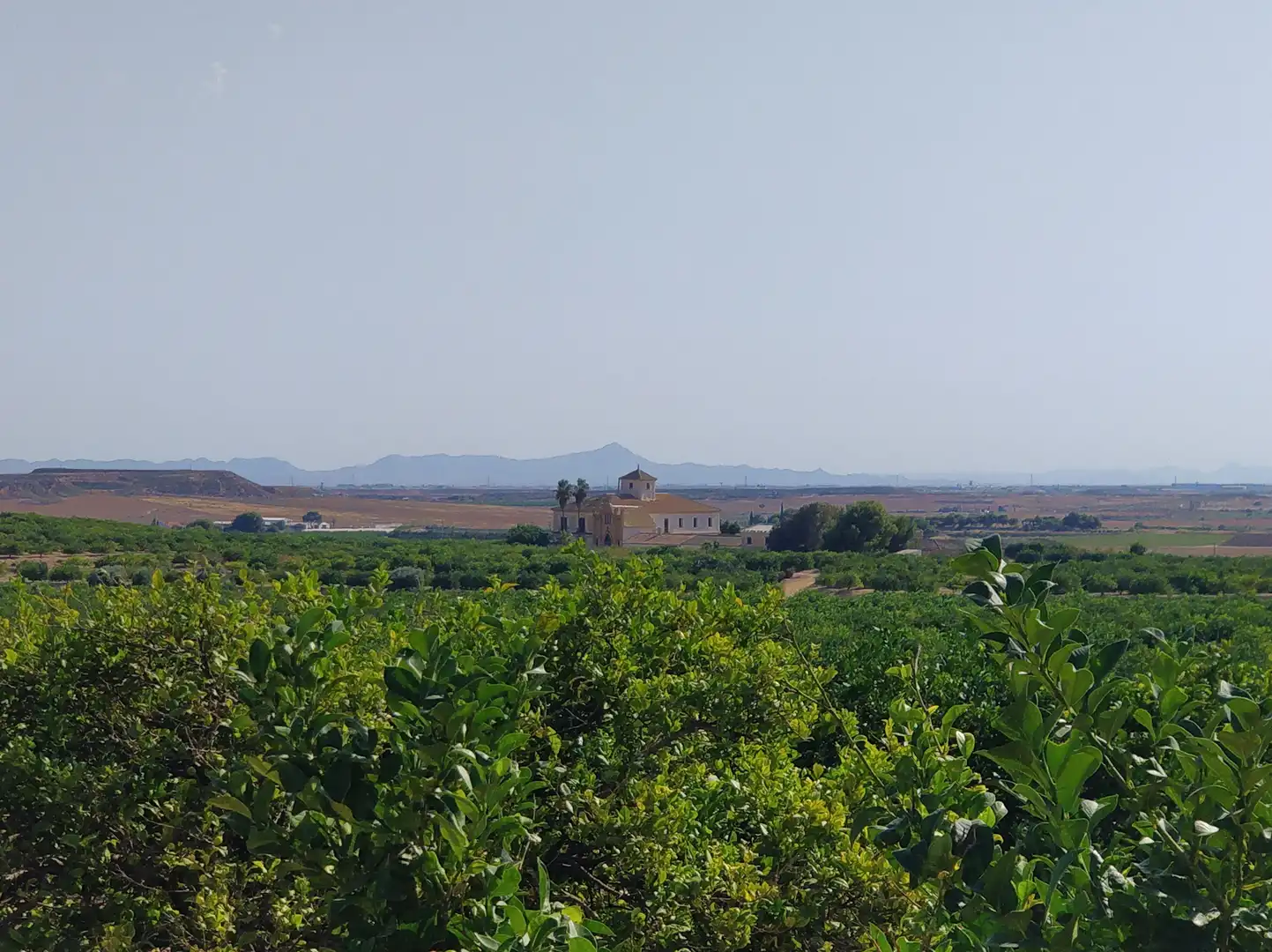 Residential zum Verkauf in Murcia