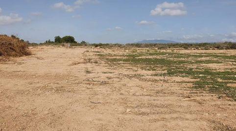 Foto 4 de Finca rústica en venta en Los Martinez del Puerto, Murcia Capital