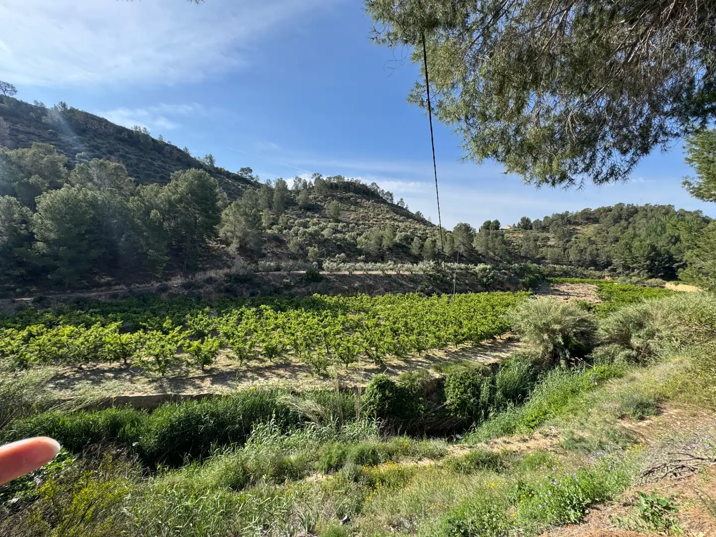 Terreno rustico in vendita a Calle 7.Canara 76, imagen 44