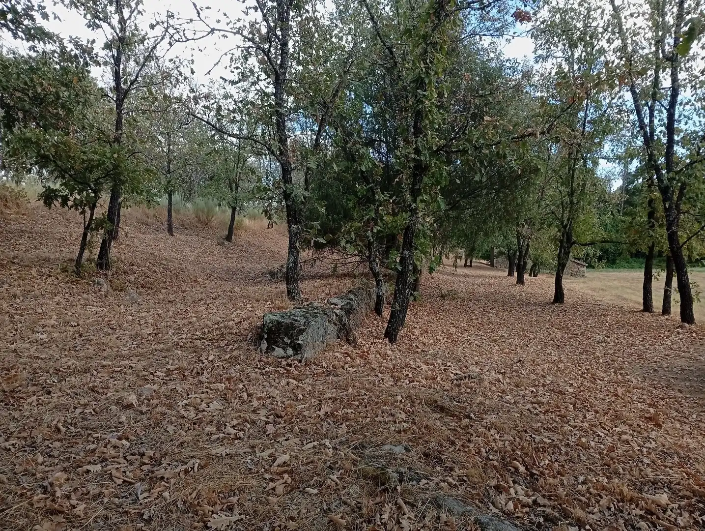 Terreni e lotti in vendita a Villanueva de la Vera, imagen 111