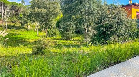 Parcela en venta con salida directa al bosque y una superficie de 1063 m2, totalmente plana y con permiso de construcción., immagine 3