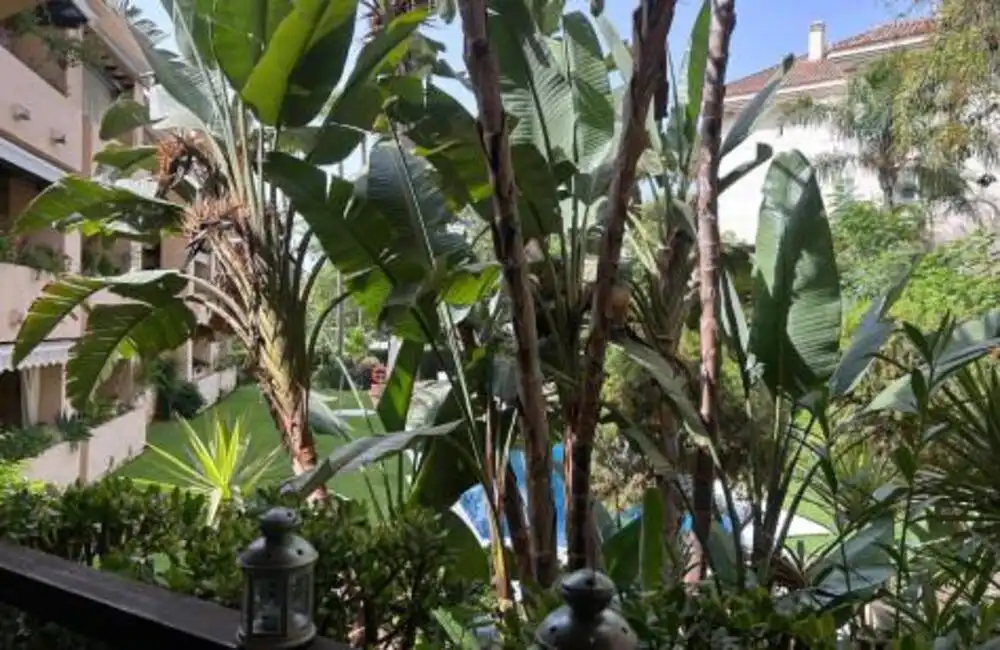 Jardí de Planta baixa de lloguer en Marbella amb Aire condicionat, Terrassa i Traster