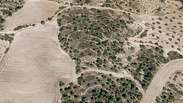 Terreno residencial en Venta en TORRALBA, -1 en Campillo de Dueñas