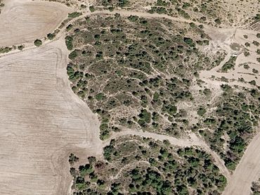 Terreni e lotti in vendita a TORRALBA