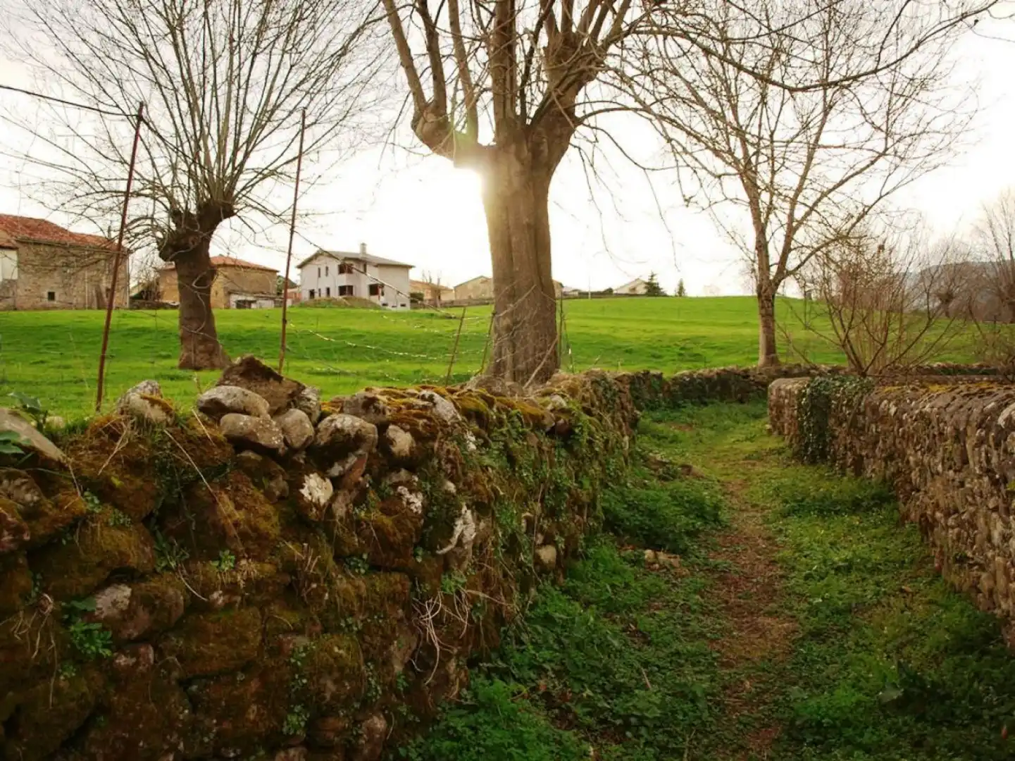 Terreni e lotti in vendita a San Felices de Buelna - Rivero, imagen 9