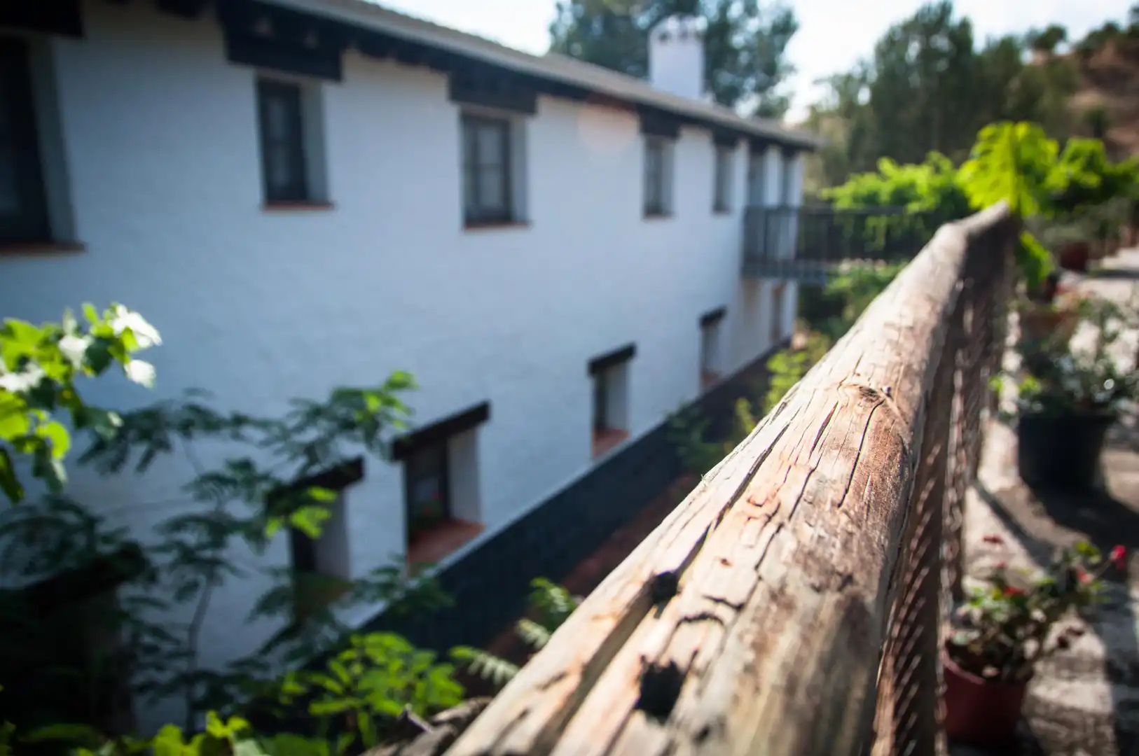 Vista exterior de Finca rústica en venta en Almogía con Aire acondicionado, Terraza y Piscina