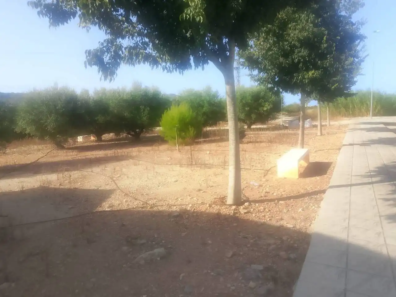 Industrial land for sale in Ador