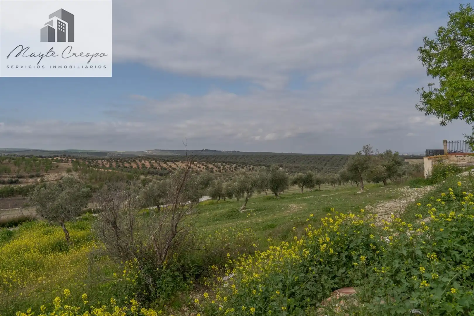 House with pool for sale in Calle del Geranio 29, imagen 53