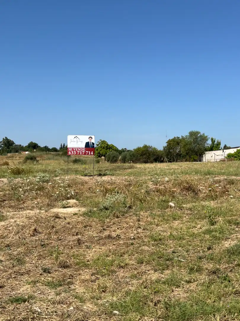 Rural land for sale in Almensilla, imagen 5