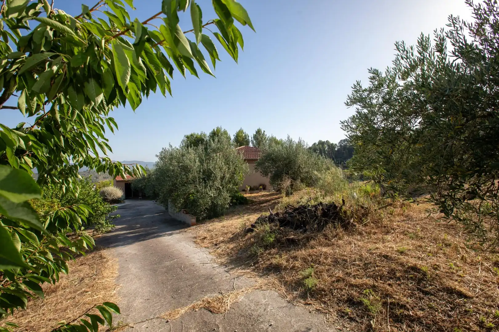 Casa o xalet en venda en Almudaina amb Moblat