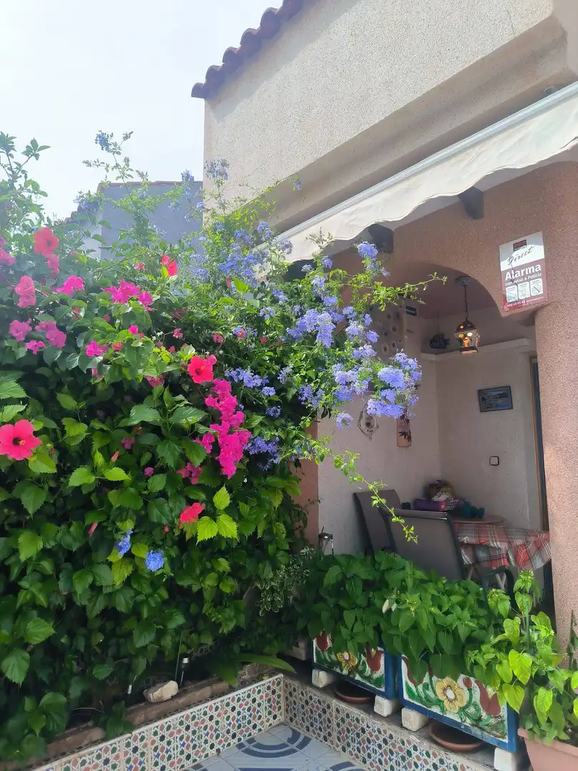 Jardí de Casa o xalet en venda en Los Alcázares amb Aire condicionat, Terrassa i Moblat