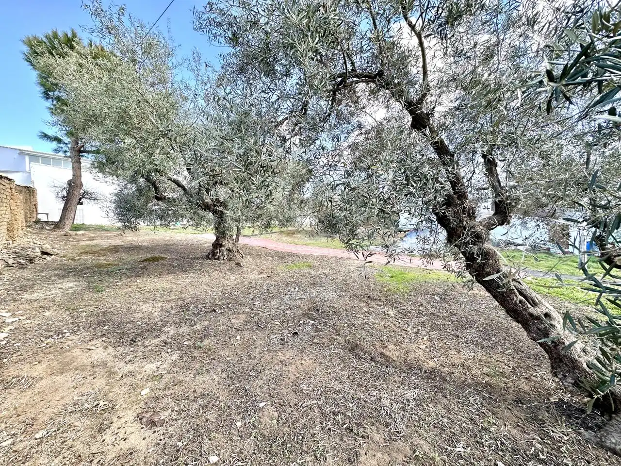 Casa amb jardí en venda a Villanueva de Algaidas, imagen 35