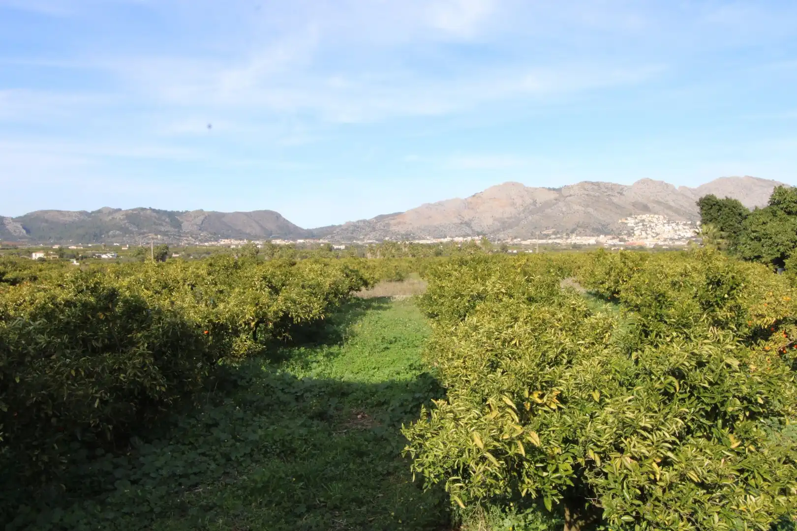 Casa o xalet en venda en Benidoleig amb Aire condicionat, Calefacció i Jardí privat