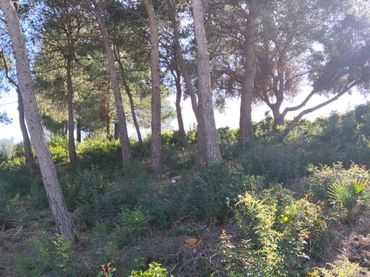 Lands and plots for sale in Segur de Dalt