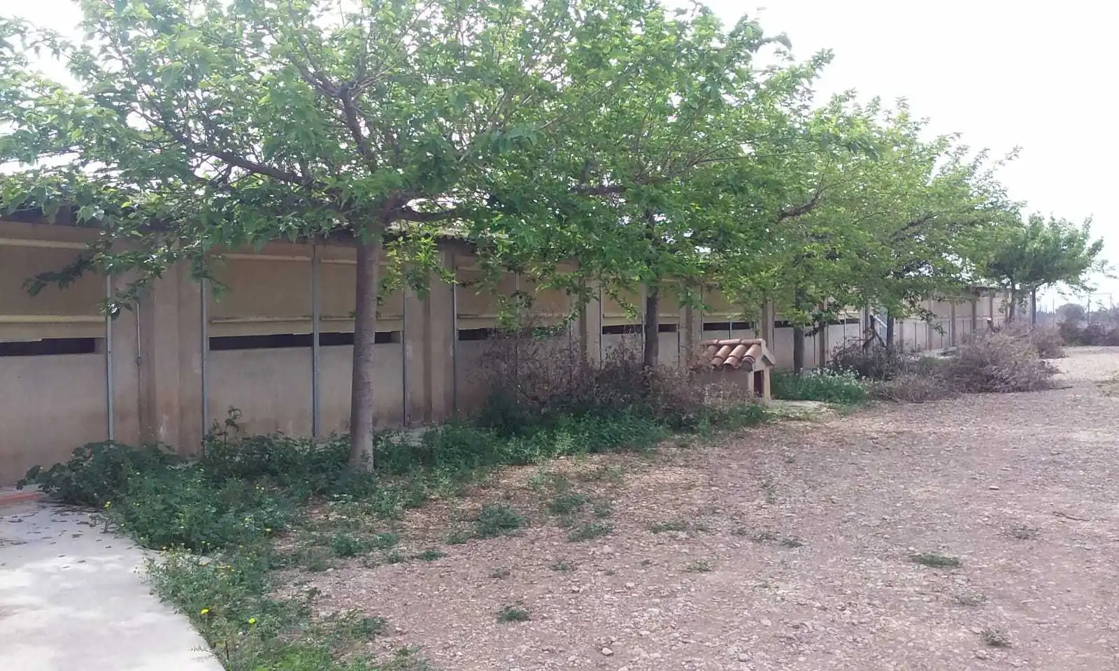 Nave industrial en venta en Traiguera
