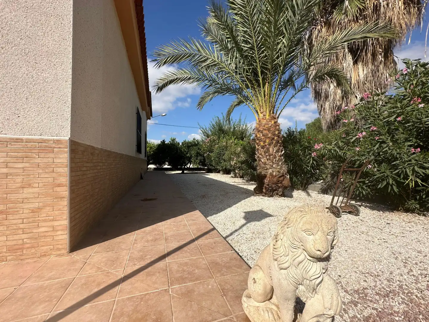 Casa con giardino in vendita a Crevillent, imagen 45
