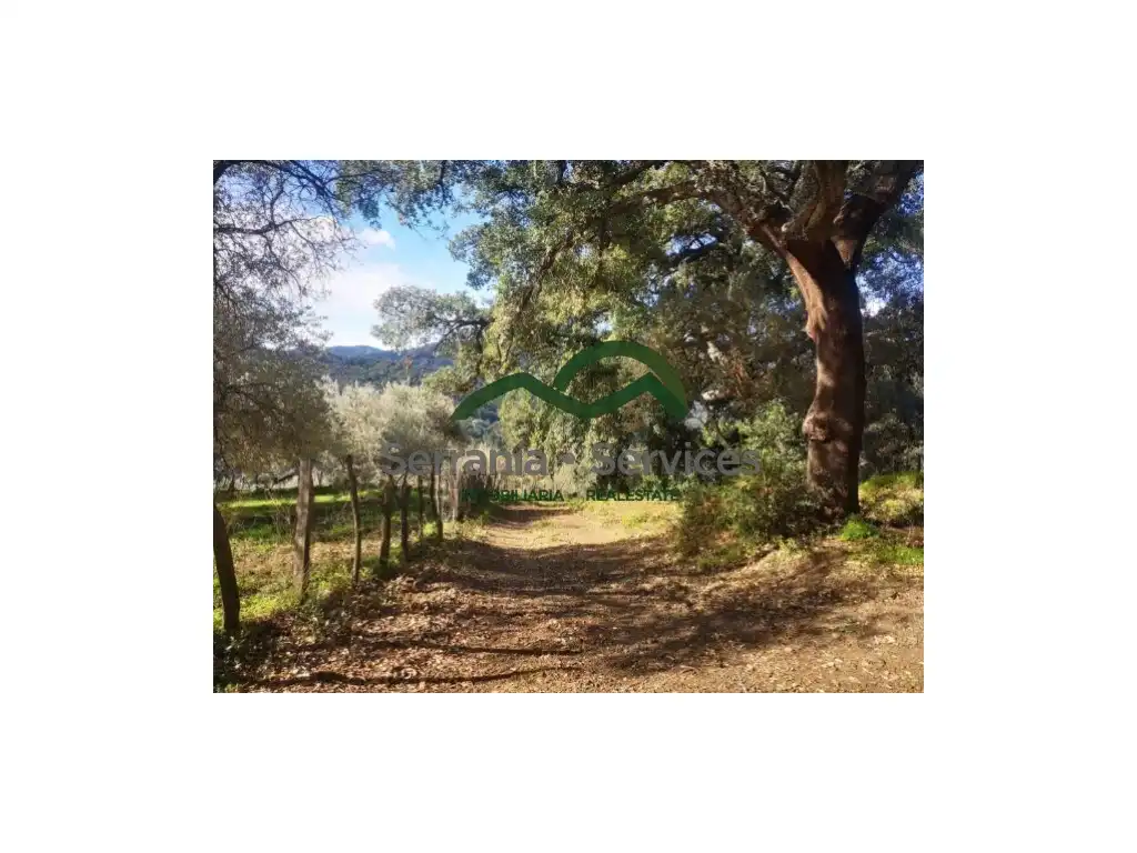 Finca rústica en venda en Genalguacil
