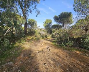 Residencial en venda a CERRO MURIANO, Cerro Muriano