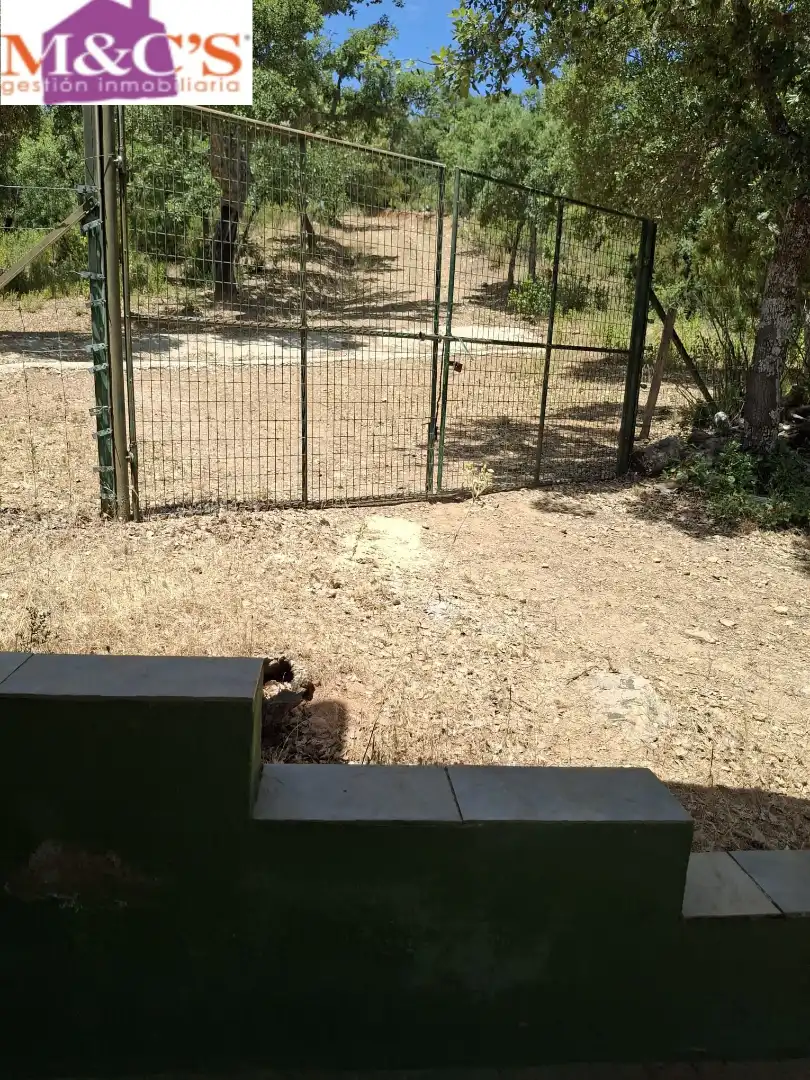 Rural land for sale in Fuencaliente, imagen 78