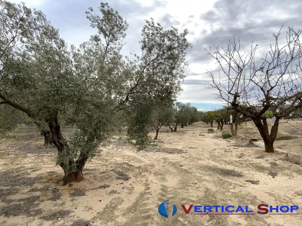 Casa o chalet en venta en Caudete