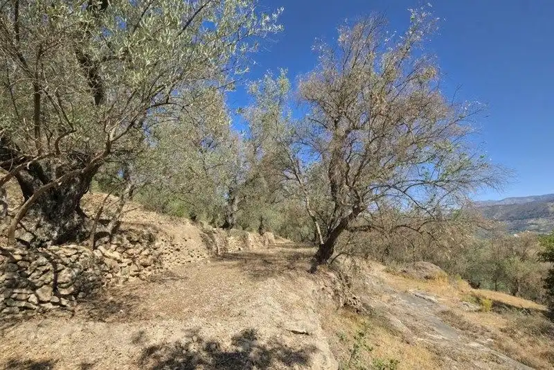 Terreno rustico in vendita a El Pinar, imagen 25