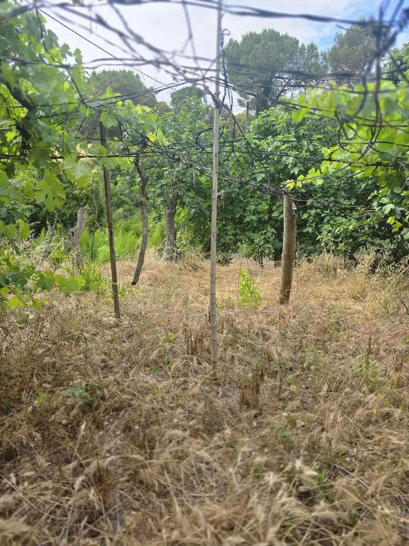 Land for sale in Vacarisses