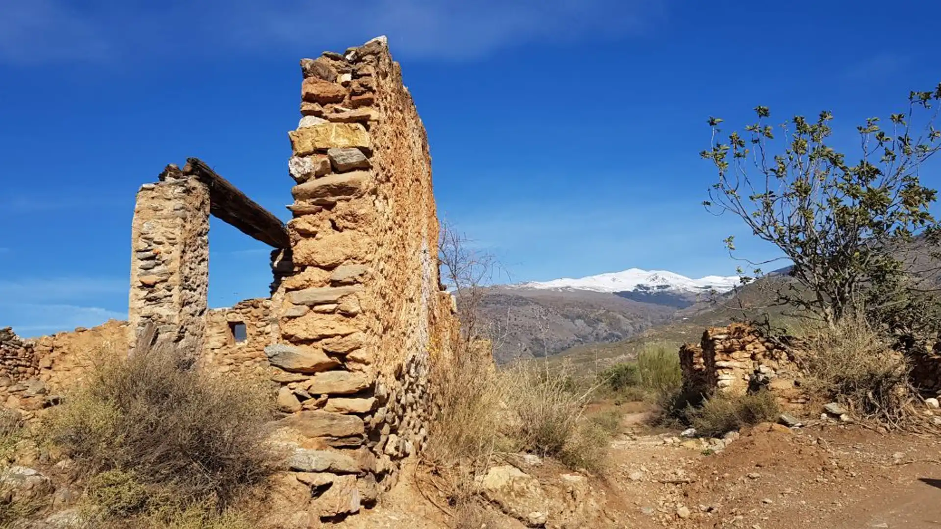 Vista exterior de Residencial en venta en Órgiva