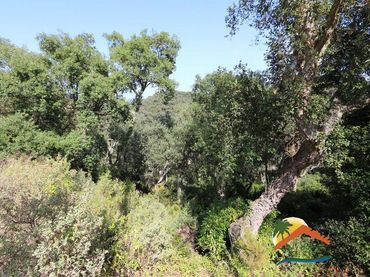 Terreno residencial en venta en Serra Brava