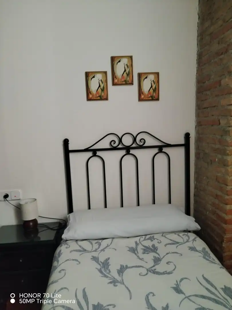 Inmuebles singulares en venta en Centro, imagen 8