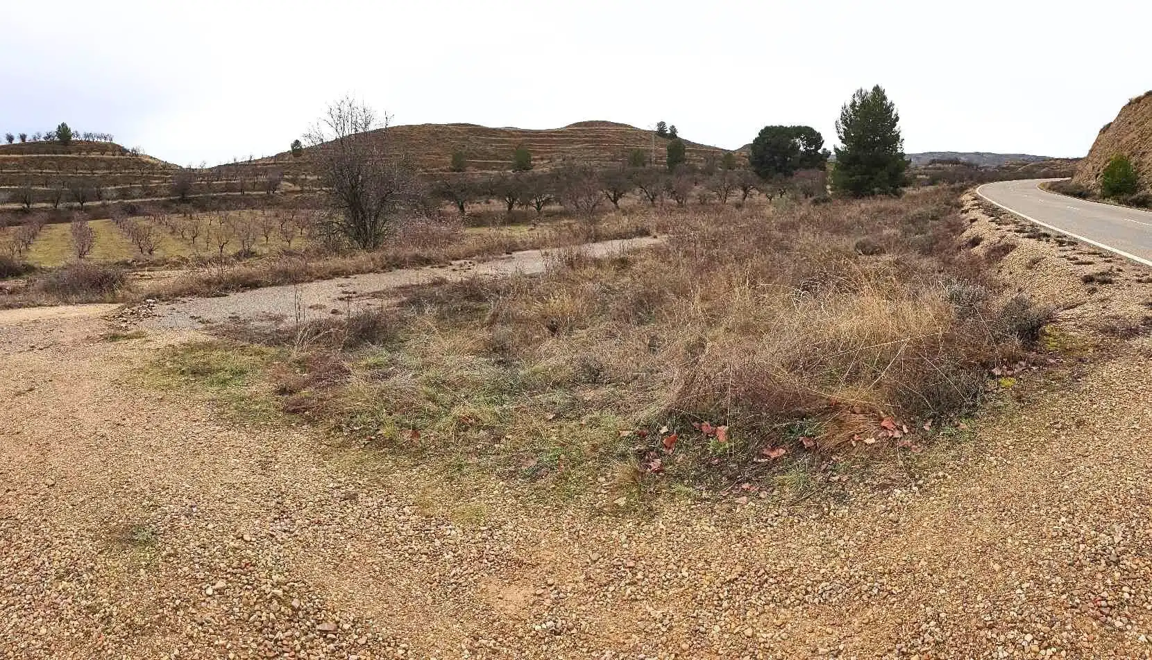Terreno en venta en Maluenda