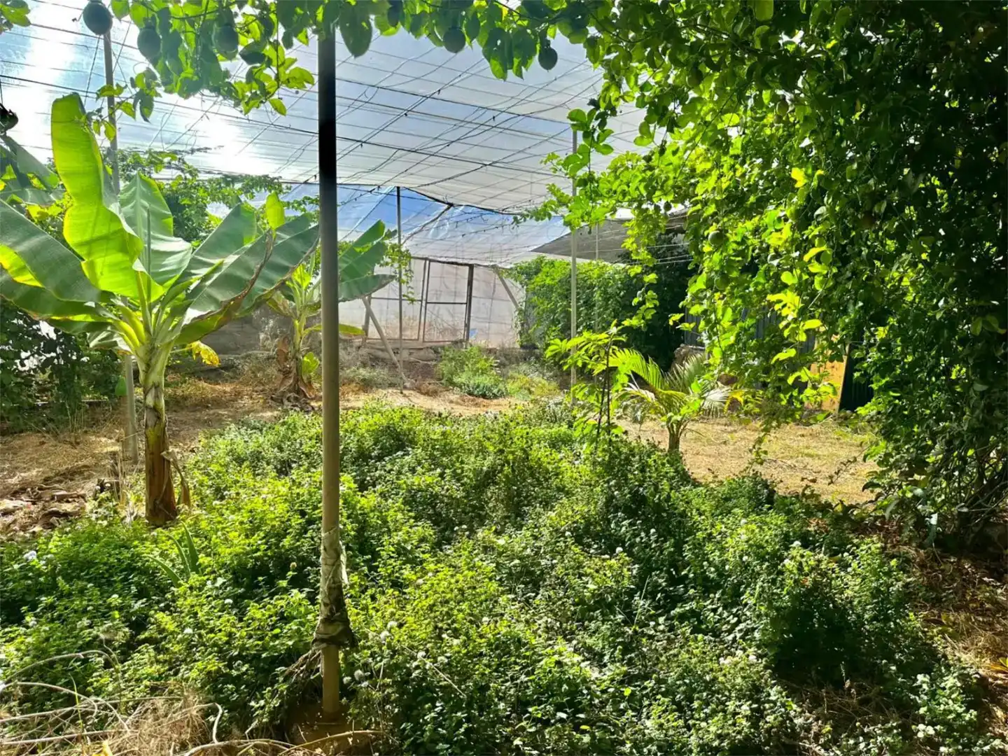 Finca rústica en venda en Guía de Isora
