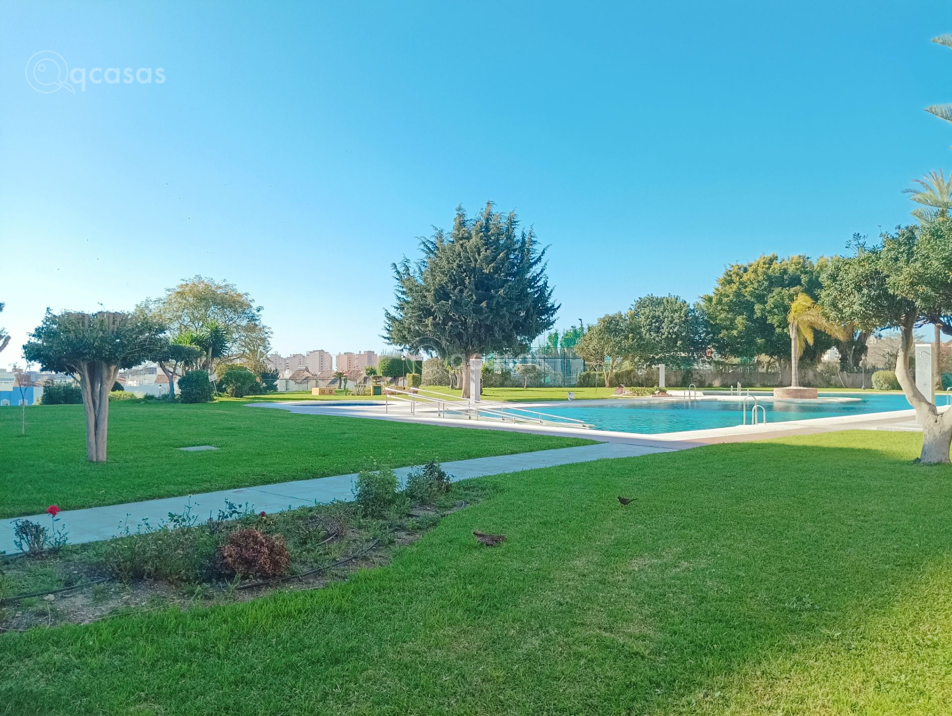 Swimming pool of Apartments for sale in Torremolinos  with Terrace, Furnished and Oven