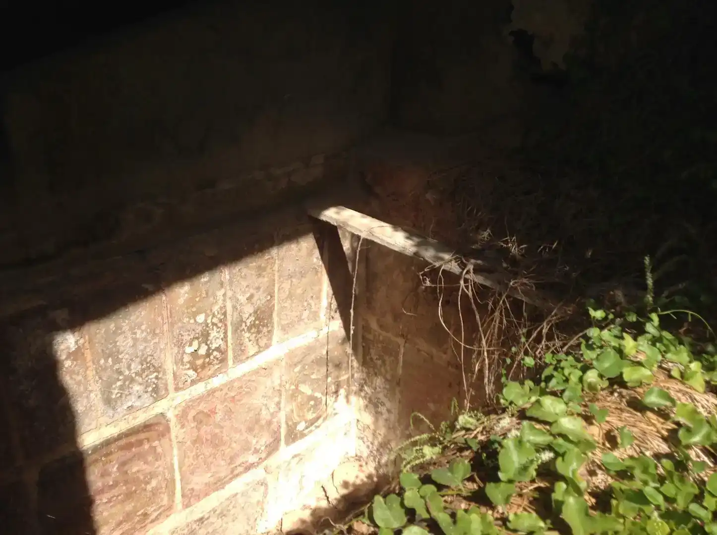 Finca rústica en venda en Riba-roja d'Ebre