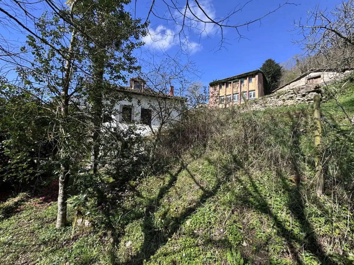 Country homes for sale in Peñamellera Alta  with Private garden