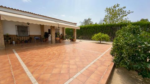 Foto 3 de Finca rústica en venta en Diseminados, Mairena del Alcor, Sevilla