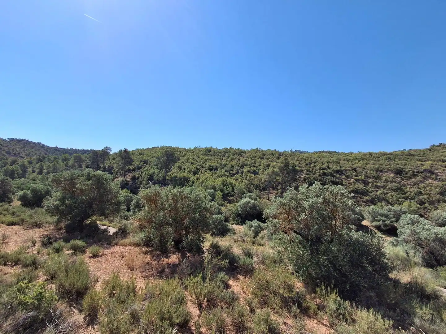 Finca rústica en venda en Riba-roja d'Ebre