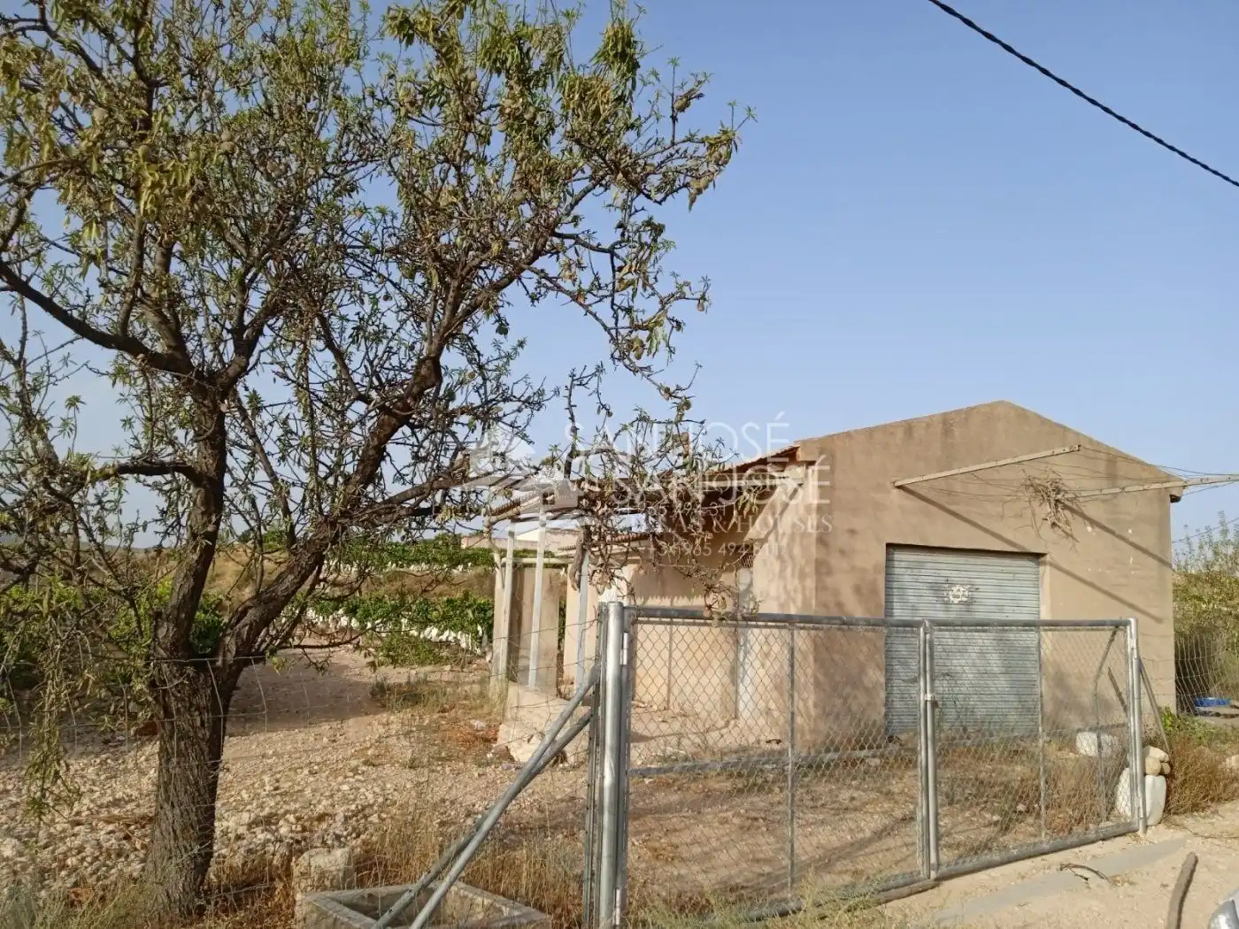 Rural land for sale in Novelda, imagen 8