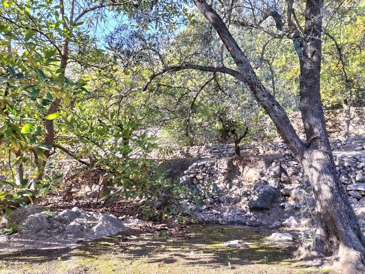 Finca rústica en venda en El Pinar