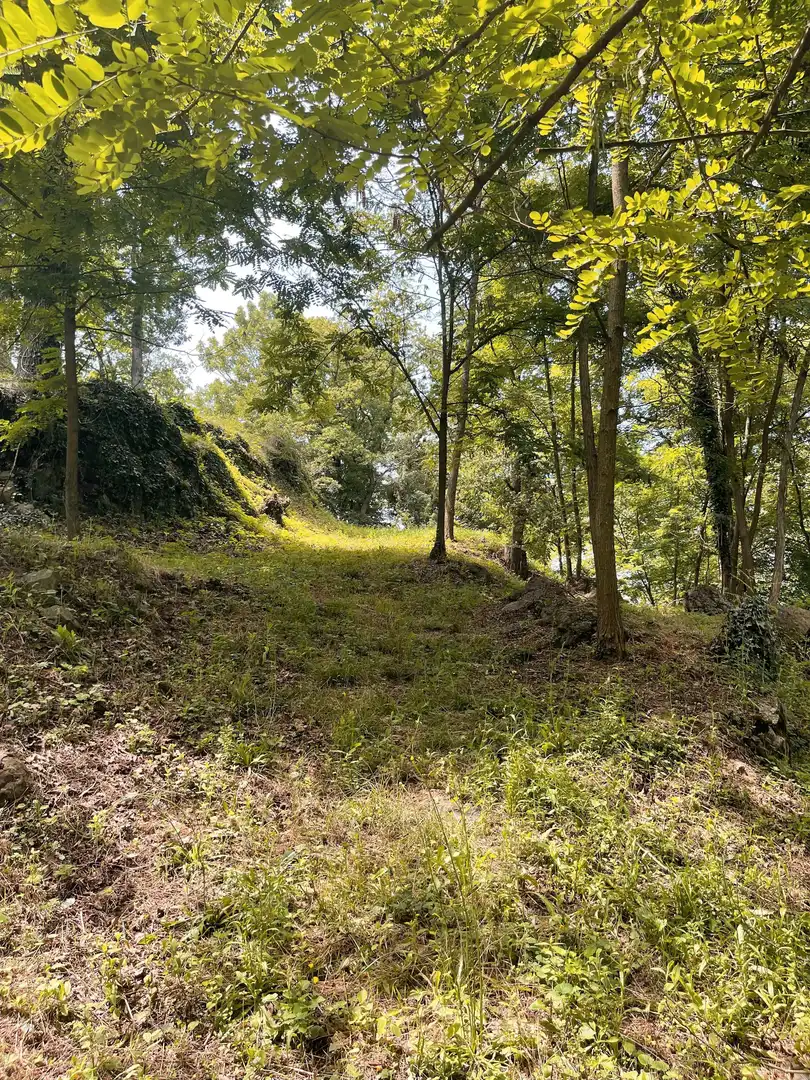 Residential land for sale in Olot, imagen 5
