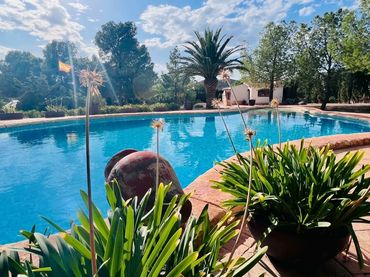 Xalet amb piscina en venda a Petrer
